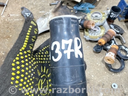 ФОТО Пыльник амортизатора для Audi (Ауди) A4 V B9 - 8W (2015-) Київ