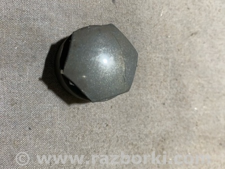 ФОТО Заглушка колесного диска для Audi (Ауди) A4 V B9 - 8W (2015-) Київ