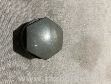 ФОТО Заглушка колесного диска для Audi (Ауди) A4 V B9 - 8W (2015-) Київ