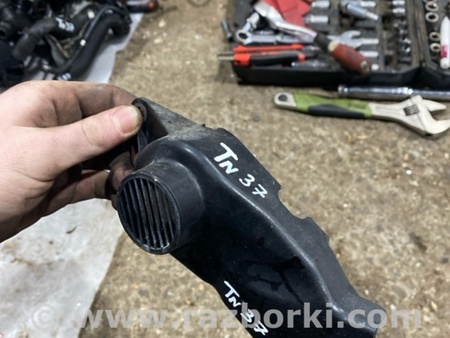 ФОТО Пластик для Audi (Ауди) A4 V B9 - 8W (2015-) Київ