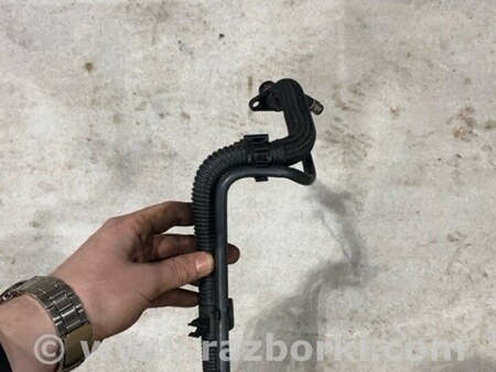 ФОТО Трубка масляная для Audi (Ауди) A4 V B9 - 8W (2015-) Київ