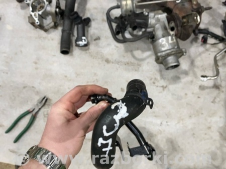 ФОТО Патрубок системы охлаждения для Audi (Ауди) A4 V B9 - 8W (2015-) Київ