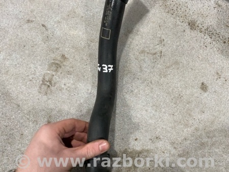 ФОТО Патрубок системы охлаждения для Audi (Ауди) A4 V B9 - 8W (2015-) Київ