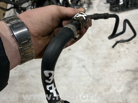 ФОТО Патрубок системы охлаждения для Audi (Ауди) A4 V B9 - 8W (2015-) Київ