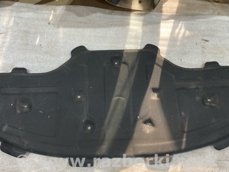 ФОТО Обшивка капота для Audi (Ауди) A8 III D4 4H (09-17) Київ