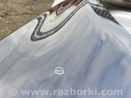 ФОТО Крыло для Audi (Ауди) A8 III D4 4H (09-17) Київ