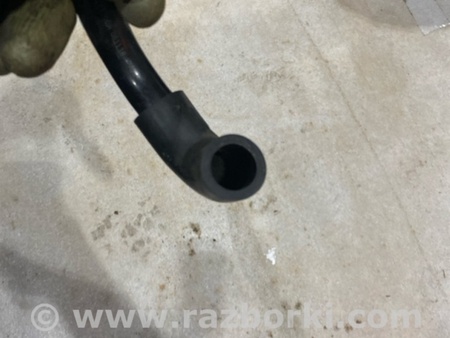 ФОТО Адсорбер для Audi (Ауди) A5 F5 B9 (16-24) Київ