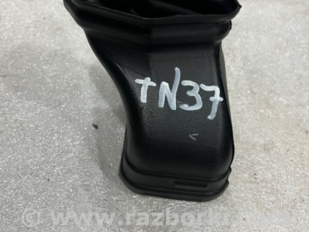 ФОТО Воздуховод печки для Audi (Ауди) A4 V B9 - 8W (2015-) Київ