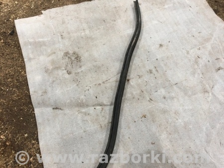 ФОТО Уплотнительная резинка для Audi (Ауди) A6 C7 4G (11-18) Київ