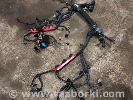 ФОТО Электропроводка для Audi (Ауди) A8 III D4 4H (09-17) Київ