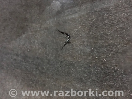 ФОТО Стекло лобовое для Audi (Ауди) A8 III D4 4H (09-17) Київ