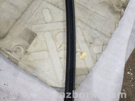 ФОТО Уплотнительная резинка боковой двери для Audi (Ауди) A3 III 8V (12-20) Київ