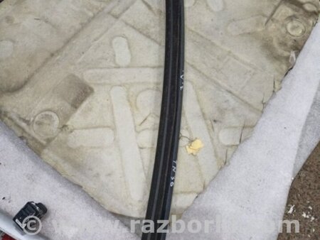 ФОТО Уплотнительная резинка боковой двери для Audi (Ауди) A3 III 8V (12-20) Київ