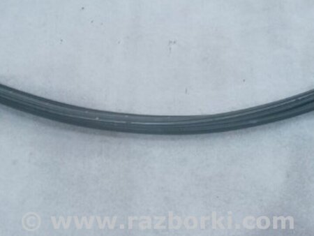 ФОТО Уплотнительная резинка боковой двери для Audi (Ауди) A5 F5 B9 (16-24) Київ