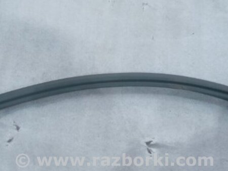 ФОТО Уплотнительная резинка боковой двери для Audi (Ауди) A5 F5 B9 (16-24) Київ