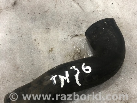 ФОТО Патрубок системы охлаждения для Audi (Ауди) A3 III 8V (12-20) Київ