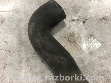 ФОТО Патрубок системы охлаждения для Audi (Ауди) A3 III 8V (12-20) Київ