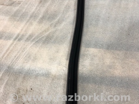 ФОТО Уплотнительная резинка для Audi (Ауди) A6 C7 4G (11-18) Київ