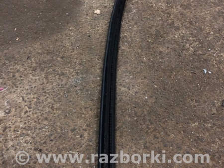 ФОТО Уплотнительная резинка для Audi (Ауди) A6 C7 4G (11-18) Київ