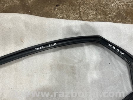 ФОТО Уплотнитель стекла двери для Audi (Ауди) A8 III D4 4H (09-17) Київ