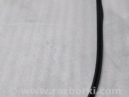 ФОТО Уплотнитель стекла двери для Acura RDX TB4 USA (04.2015-...) Киев