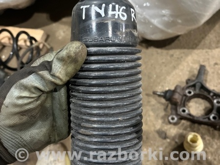 ФОТО Пыльник амортизатора для Subaru Legacy VI BN (14-19) Київ