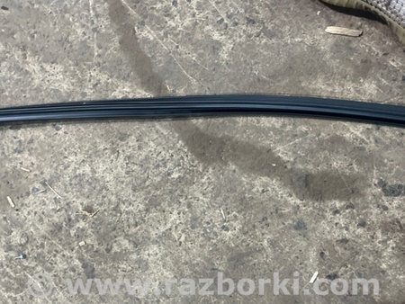ФОТО Уплотнительная резинка боковой двери для Subaru Crosstrek 3 GU (2022-) Київ