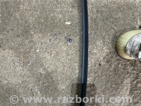 ФОТО Уплотнительная резинка для Subaru Crosstrek 3 GU (2022-) Київ