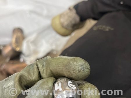 ФОТО Гайка колесная для Subaru Legacy VI BN (14-19) Київ