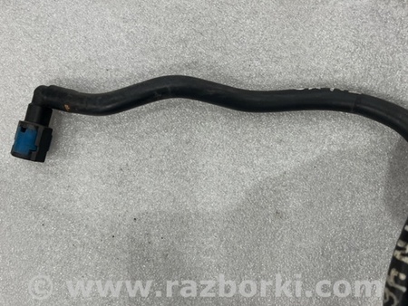 ФОТО Трубка топливная для Subaru Legacy VI BN (14-19) Київ