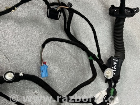 ФОТО Проводка двери для Volkswagen Atlas/Teramont I +1 рест (17-23) Київ