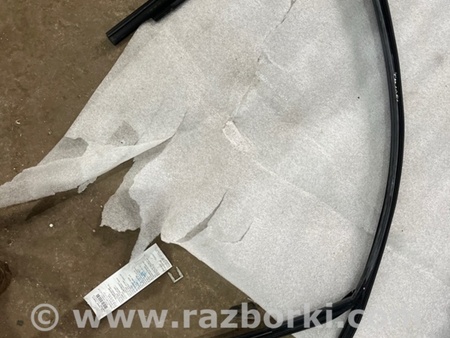 ФОТО Уплотнитель стекла двери для Volkswagen Atlas/Teramont I +1 рест (17-23) Київ