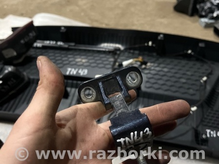 ФОТО Петля двери багажника для Volkswagen Atlas/Teramont I +1 рест (17-23) Київ