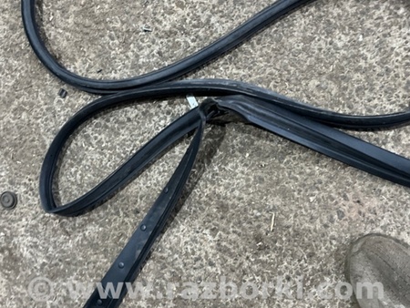 ФОТО Уплотнитель кузова для Subaru Legacy VI BN (14-19) Київ