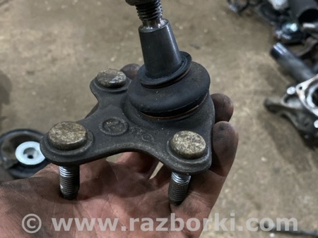 ФОТО Шаровая опора для Audi (Ауди) A3 III 8V (12-20) Київ