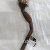 ФОТО Катализатор для Porsche Cayenne Type 958 (10-18) Киев