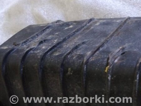 ФОТО Защитный кожух для Audi (Ауди) A4 B8 - 8K2, 8K5 (08.2007-11.2015) Киев