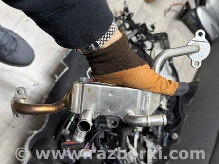 ФОТО Радиатор системы EGR для Subaru Legacy VII BW (19-25) Київ