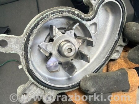 ФОТО Помпа для Subaru Legacy VII BW (19-25) Київ