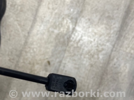 ФОТО Амортизатор крышки багажника для Audi (Ауди) A3 III 8V (12-20) Київ