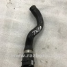 ФОТО Патрубок системы охлаждения для Audi (Ауди) A4 B8 - 8K2, 8K5 (08.2007-11.2015) Киев