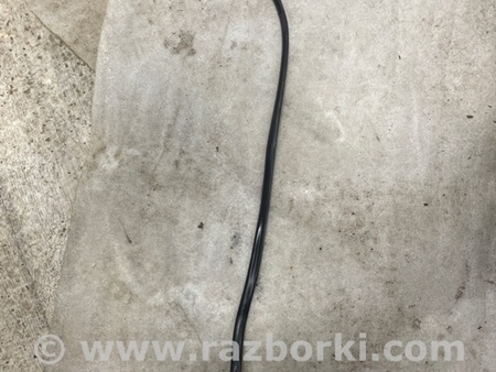 ФОТО Уплотнительная резинка для Infiniti QX50 II II P71A (17-25) Київ