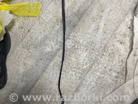 ФОТО Уплотнительная резинка для Infiniti QX50 II II P71A (17-25) Київ