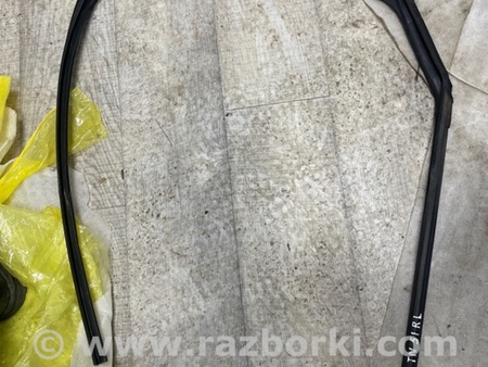 ФОТО Уплотнитель стекла двери для Infiniti QX50 II II P71A (17-25) Київ