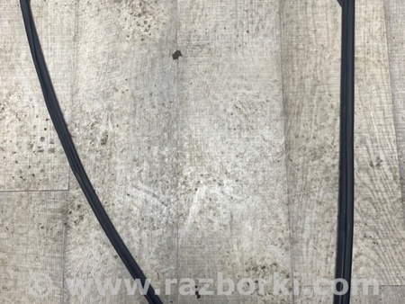 ФОТО Уплотнитель стекла двери для Subaru Legacy VII BW (19-25) Київ