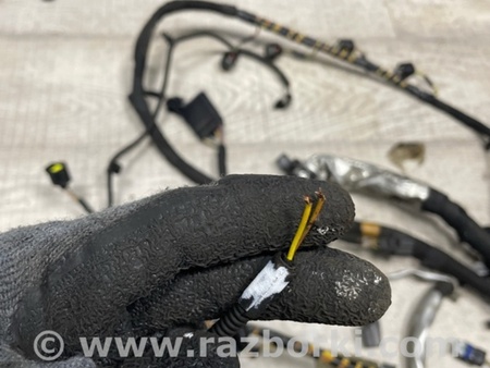 ФОТО Электропроводка для Land Rover Range Rover IV L405 (12-21) Київ