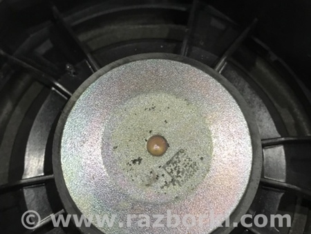 ФОТО Динамик для Audi (Ауди) A4 B8 - 8K2, 8K5 (08.2007-11.2015) Киев
