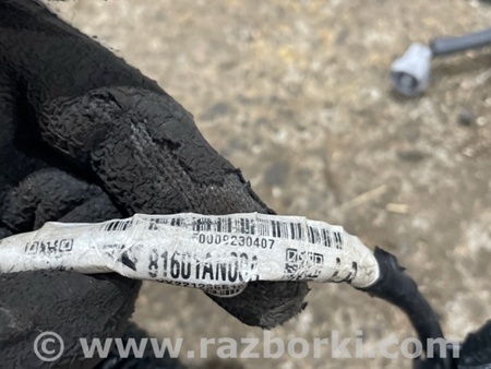 ФОТО Электропроводка для Subaru Legacy VII BW (19-25) Київ