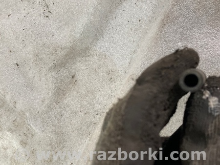 ФОТО Трубка стеклоомывателя для Audi (Ауди) A3 III 8V (12-20) Київ