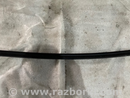 ФОТО Уплотнительная резинка для Audi (Ауди) A3 III 8V (12-20) Київ